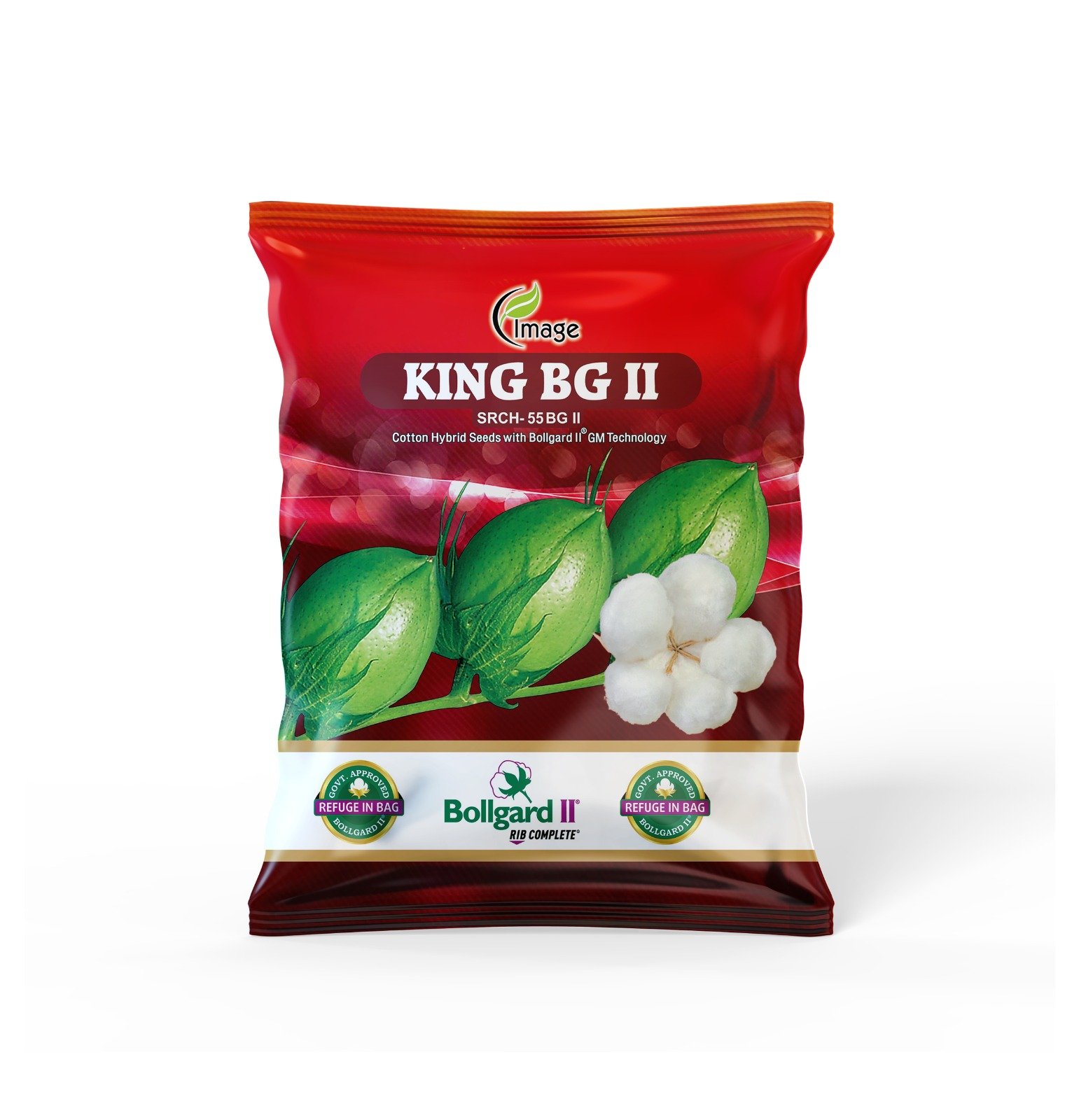 KING BG-2