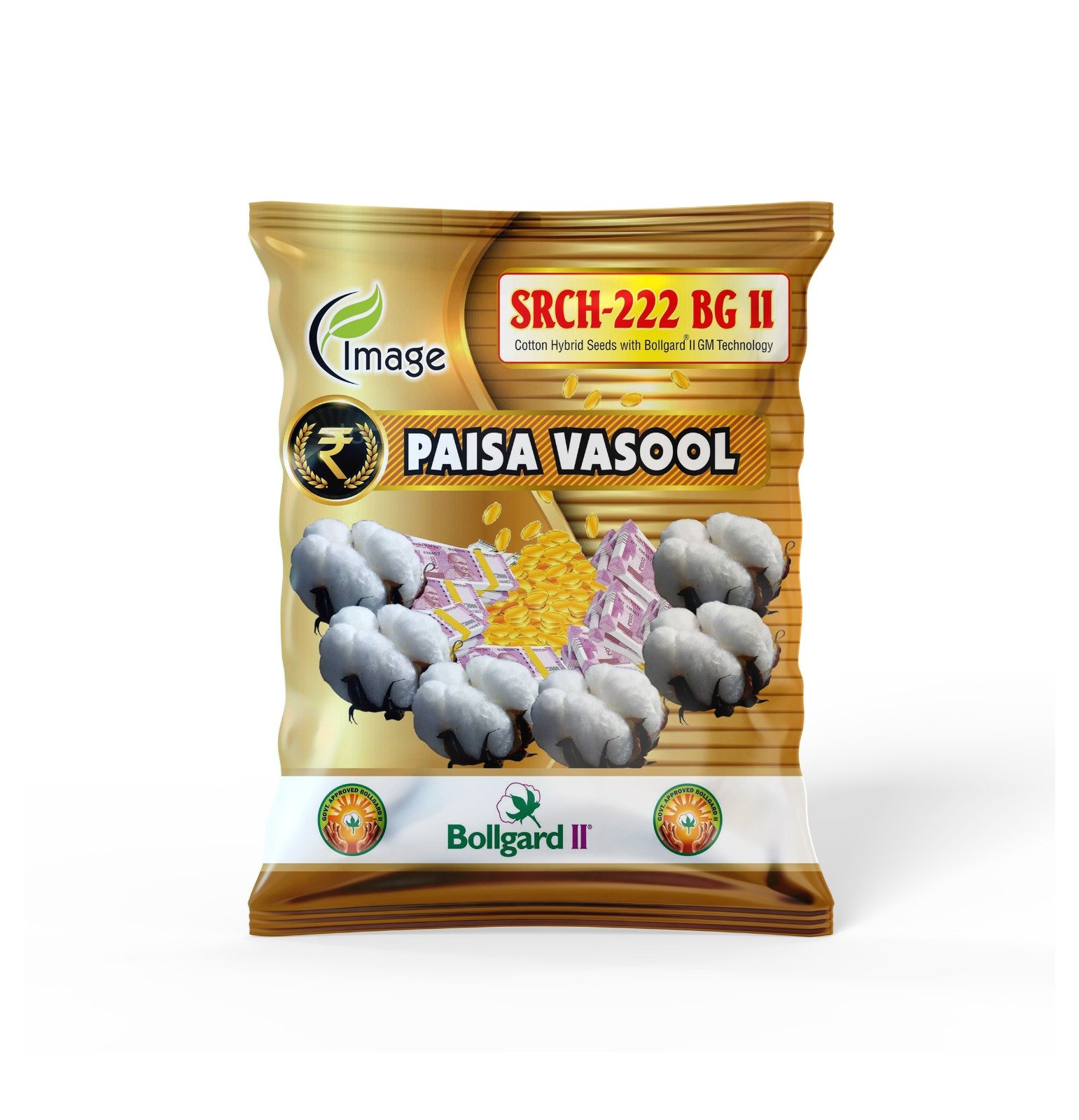 PAISA VASOOL