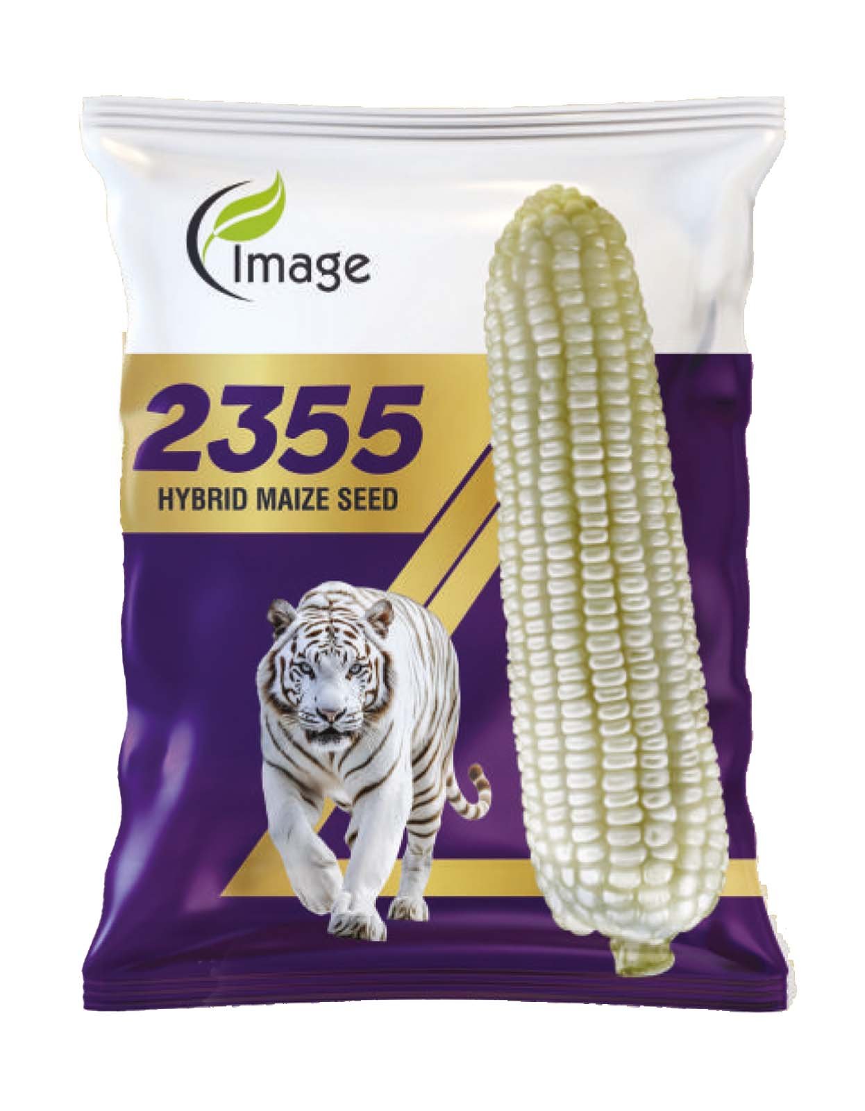 White Maize