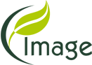 img-1