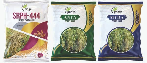paddy group